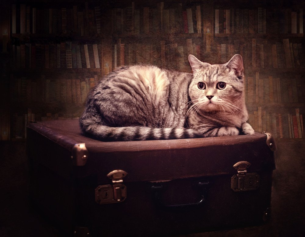 Photograph by Римма Нефёдова