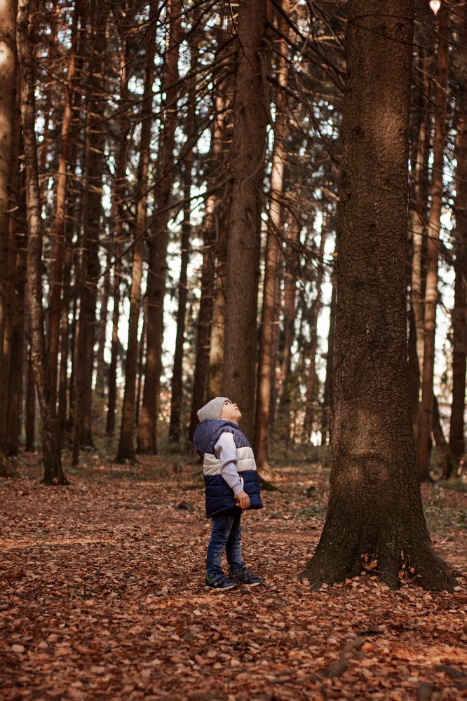Photograph by Наталья Золотарева