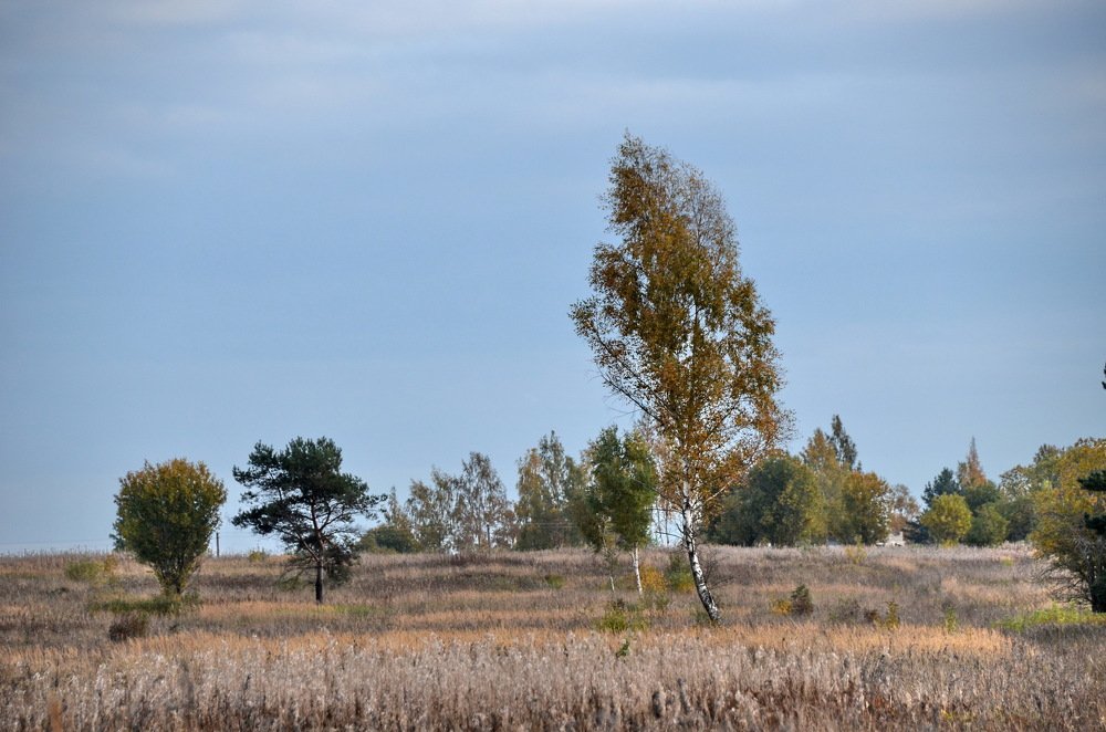 Photograph by Николай Соколовский