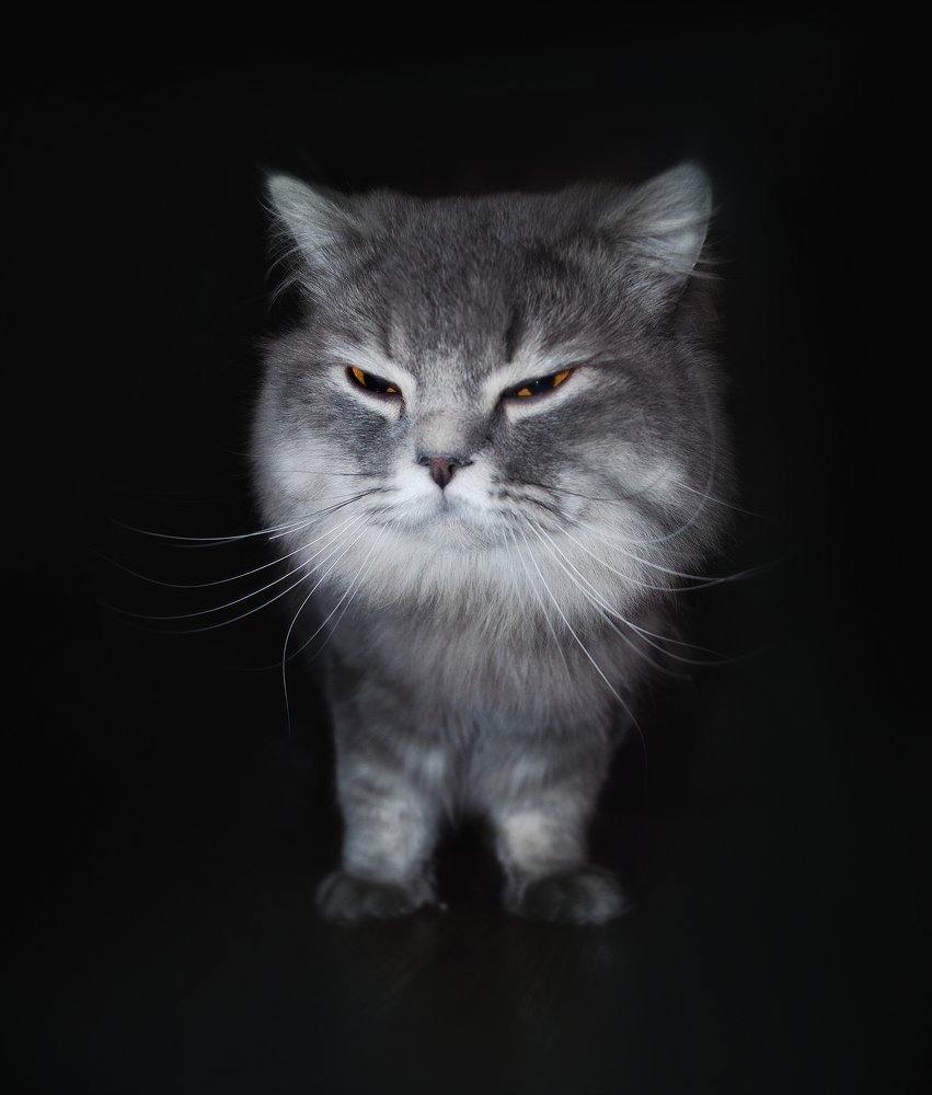 Photograph by Наталья Золотарева