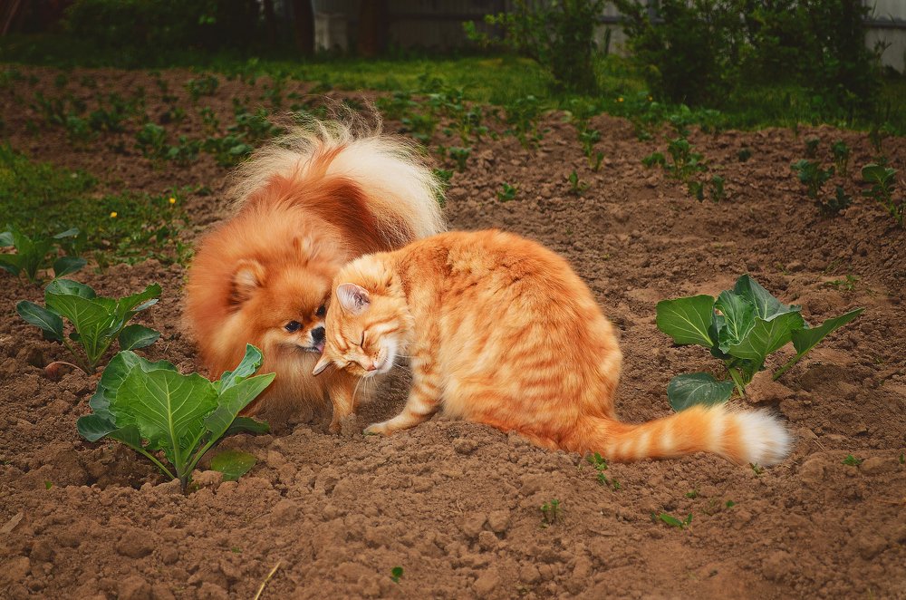 Photograph by Наталья Золотарева