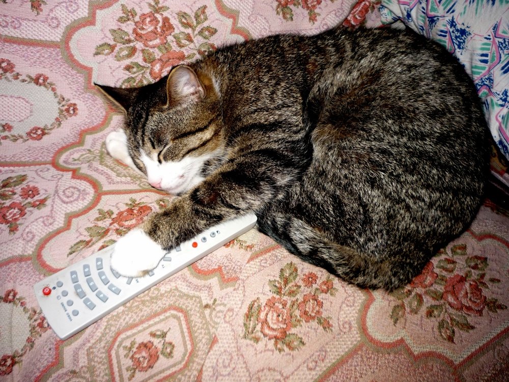 SPACE SHUTCH CONTROL IN A SLEEP