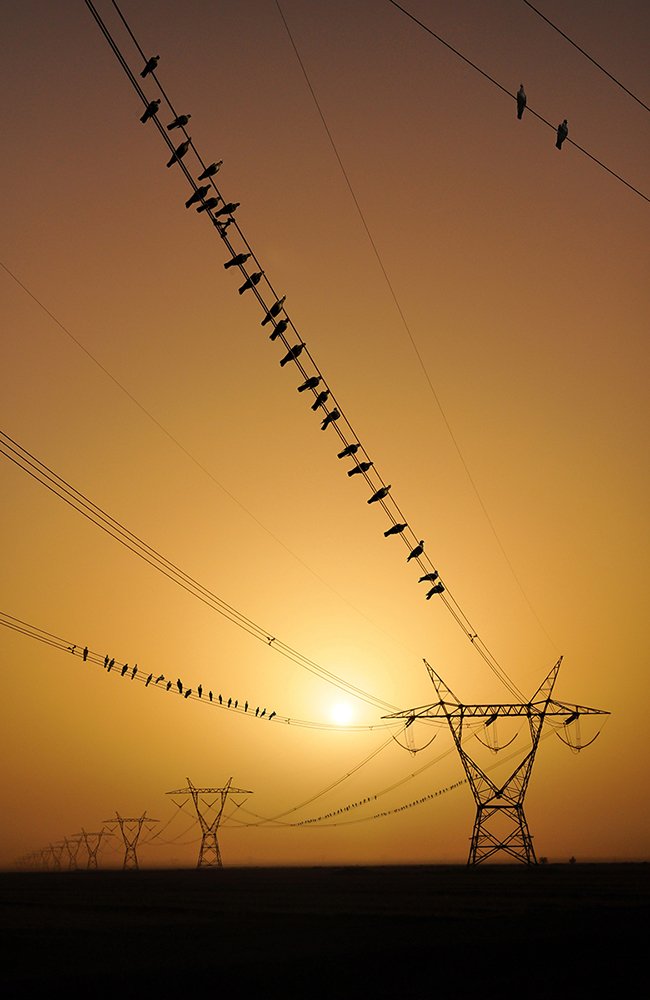 Фотография автора Erfan Rabiei dastjerdi