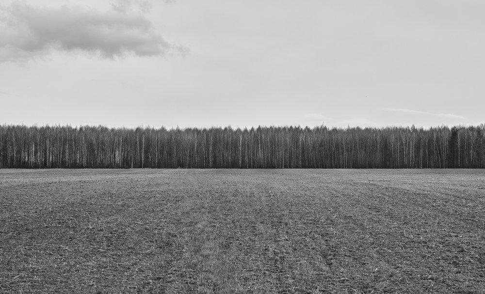 Photograph by Dmitry K