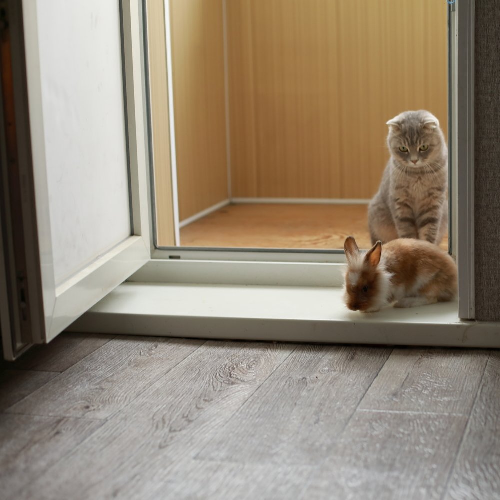 Photograph by Наталья К