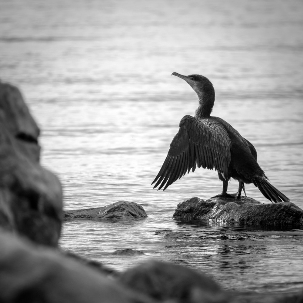 Photograph by Алена