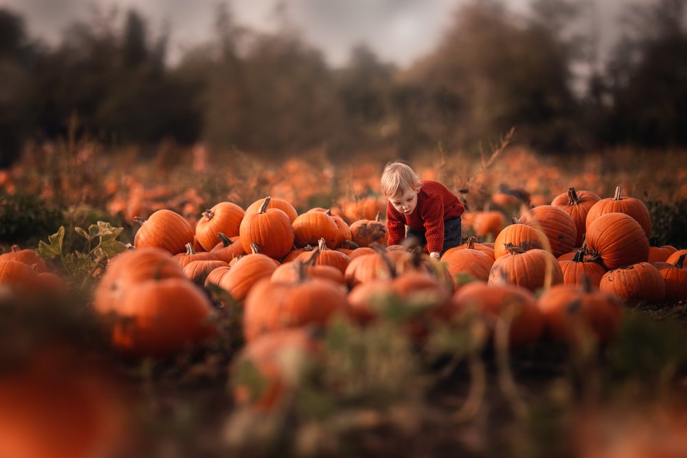 Фотография автора Karolina Talaga