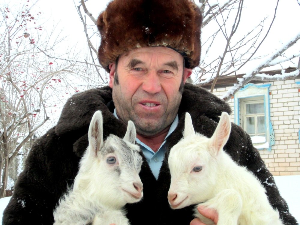 SELF-PORTRAIT WITH GOATS