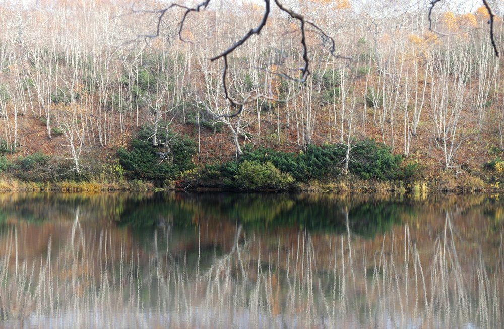 Photograph by Алиса Урсу