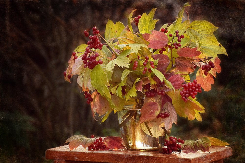 Photograph by Марина Хаева