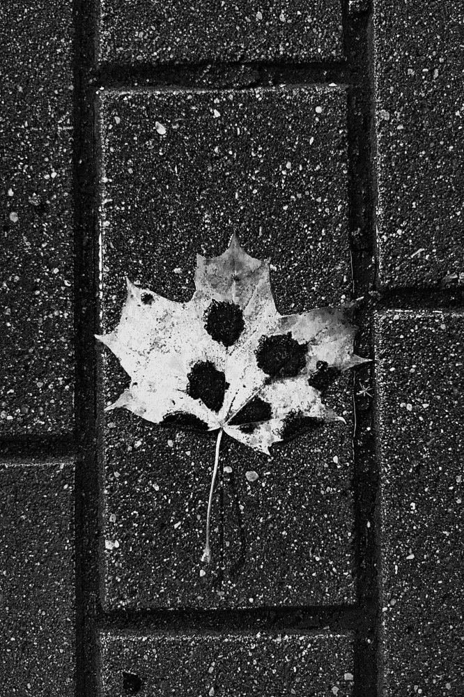 Photograph by Эдуард Щербаков