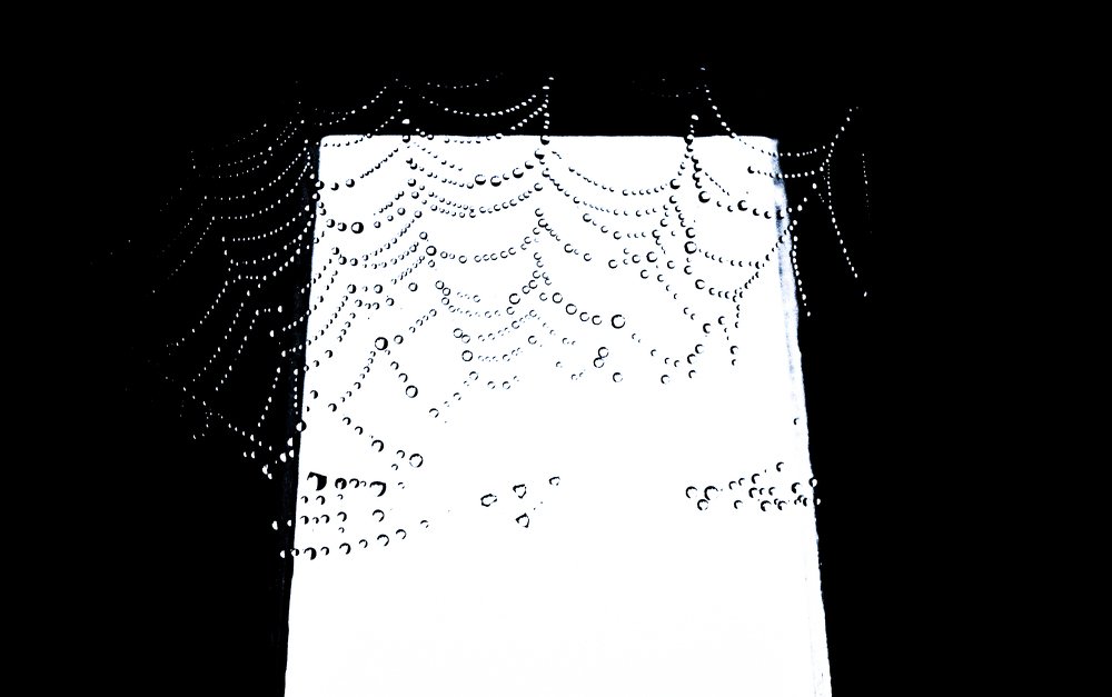 Photograph by Eleonora Pecoraro