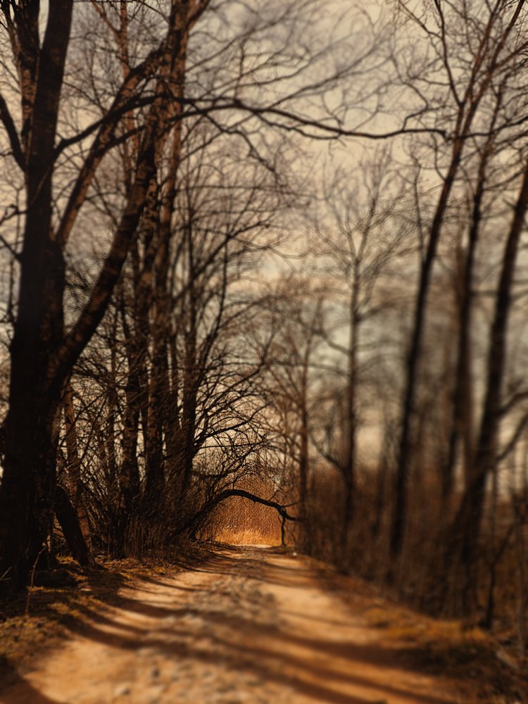 Фотография автора Дима Бурза