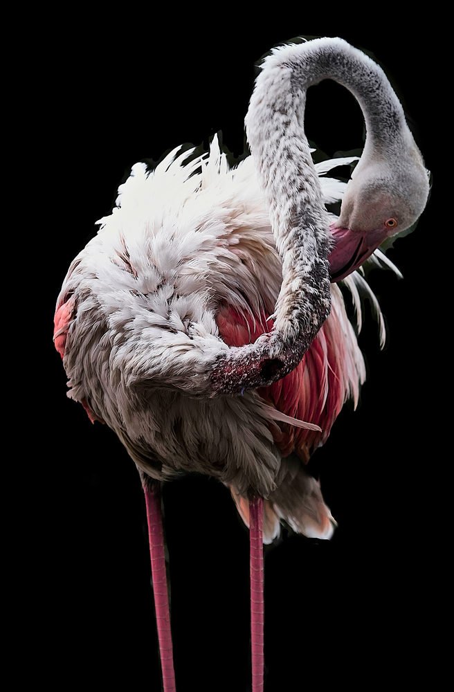 Photograph by Dimitris Papadopoulos