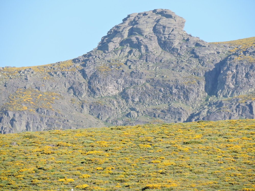 Photograph by Gregorio Álvarez