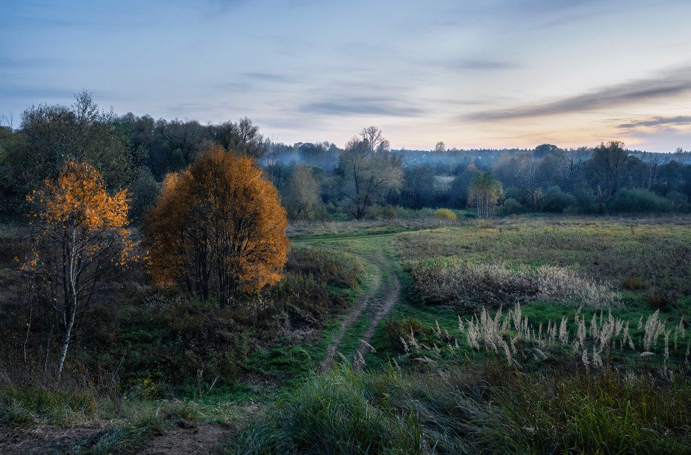 Photograph by Максим Мозжухин