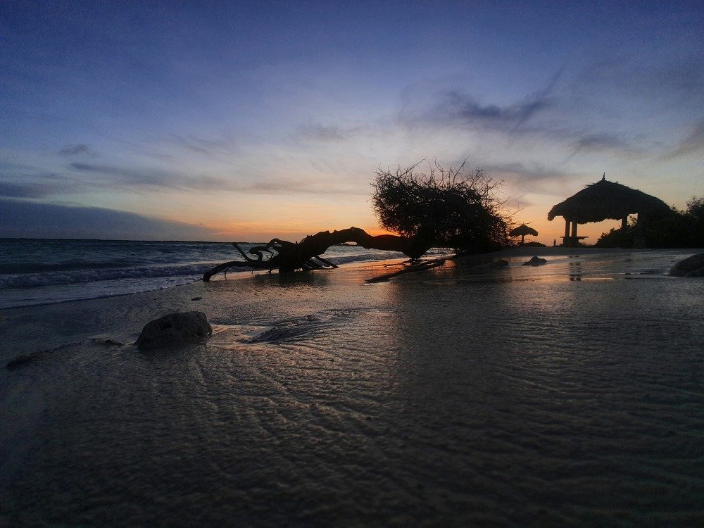 Photograph by Jeannette Beaumont