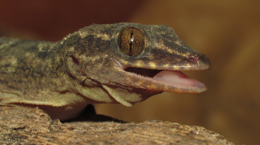 Photograph by Jéssica Galdino