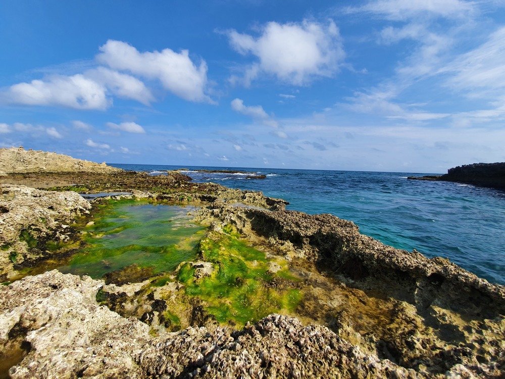 Photograph by Jeannette Beaumont