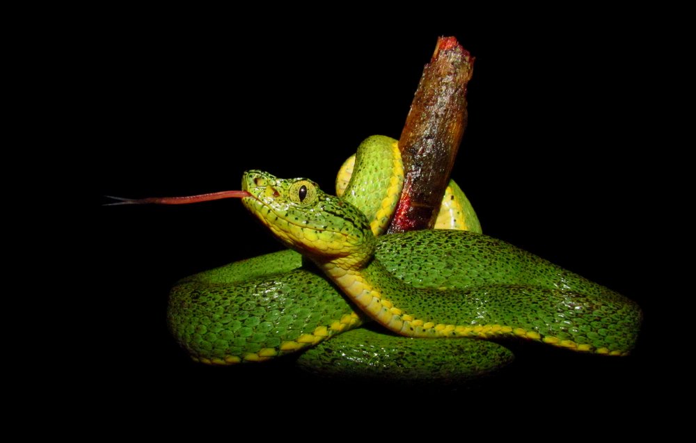 Photograph by Jéssica Galdino