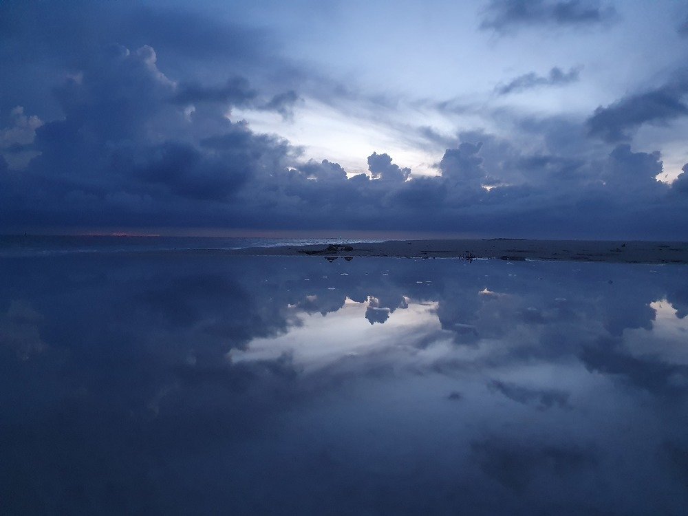 Photograph by Jeannette Beaumont