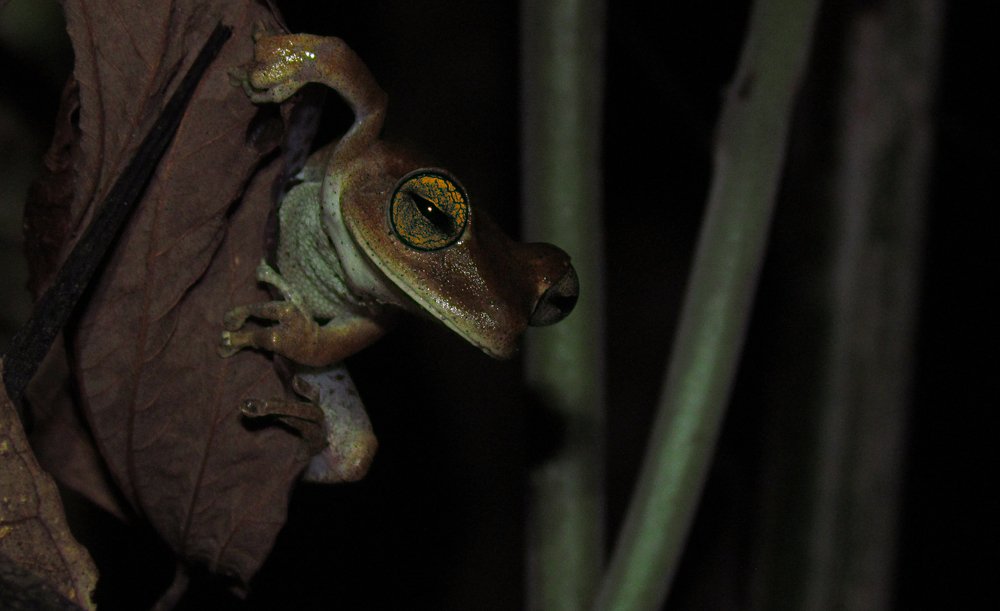 Photograph by Jéssica Galdino