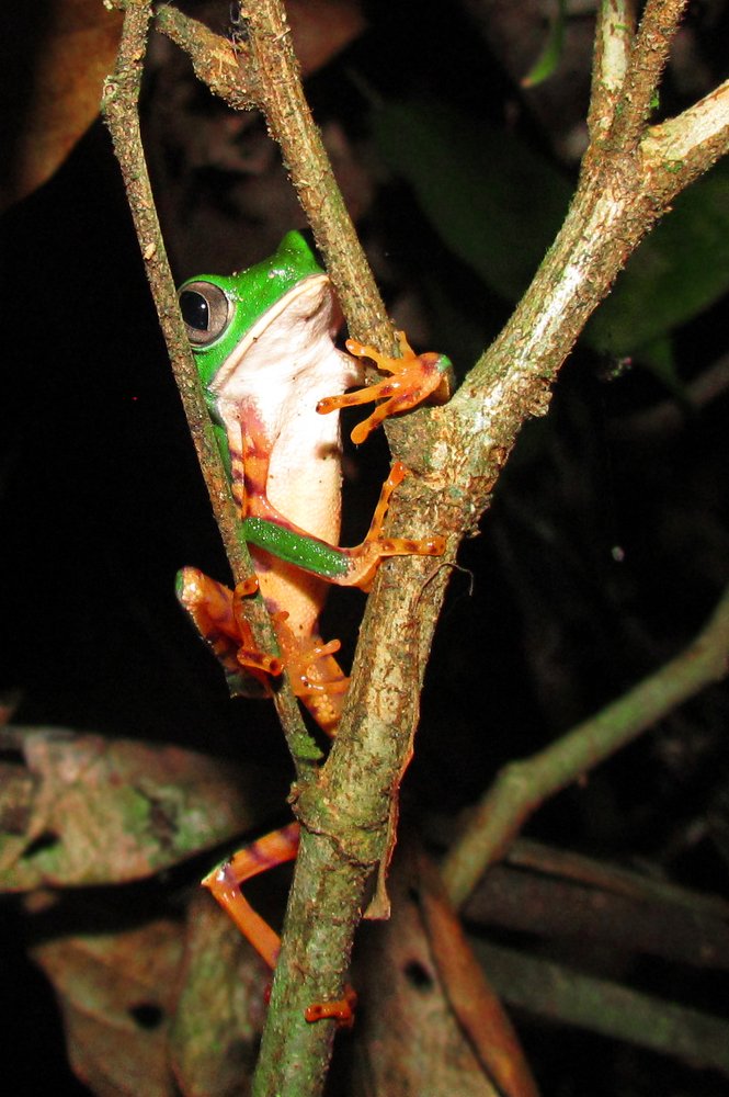 Photograph by Jéssica Galdino