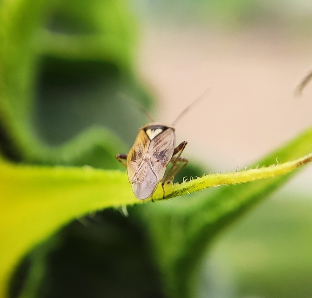 Фотография автора Станислав Ермолин