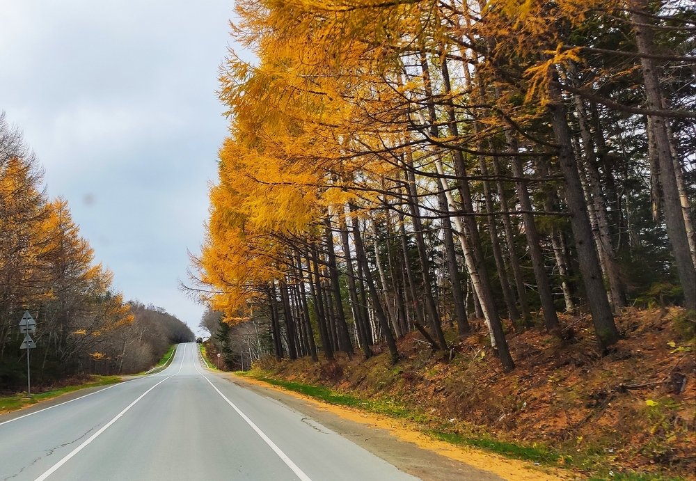 Фотография автора Станислав Ермолин