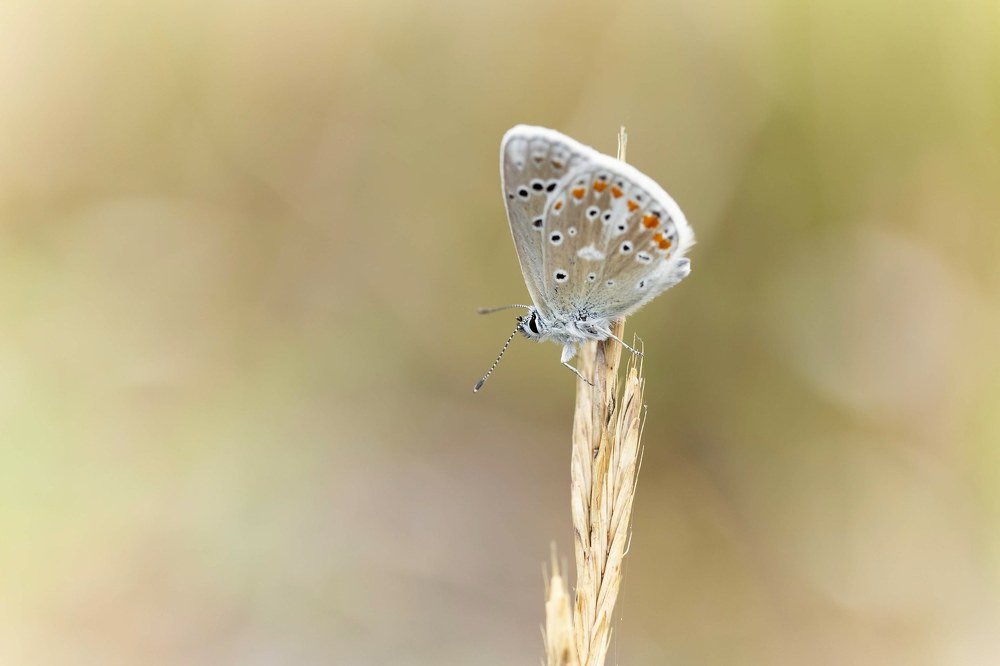 Photograph by Hilario Perez Vazquez