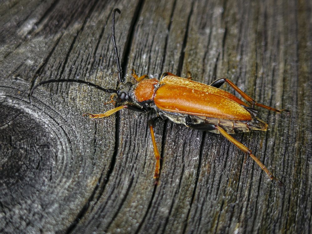 Photograph by Сергей Метлов