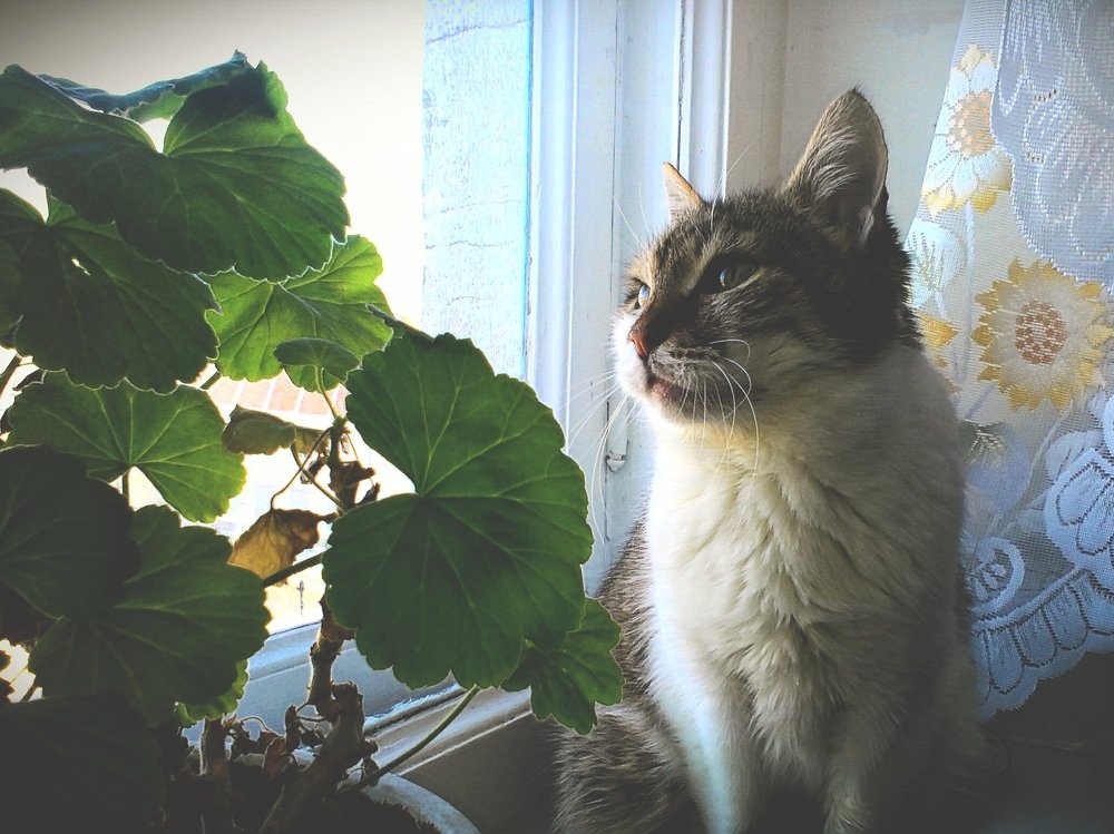 Фотография автора Артемий Николаевич