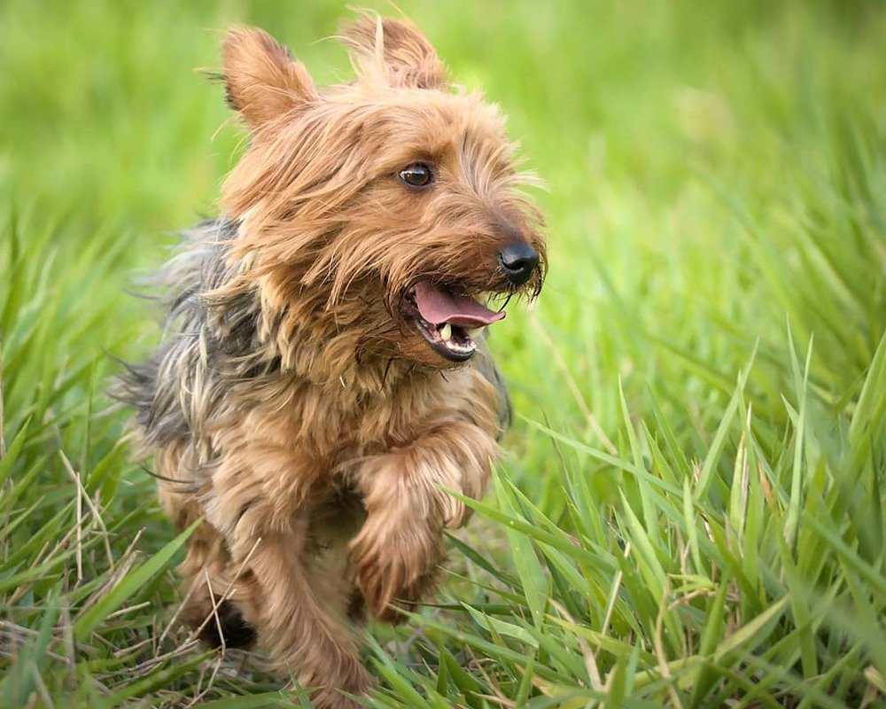 Photograph by Eduardo Bom