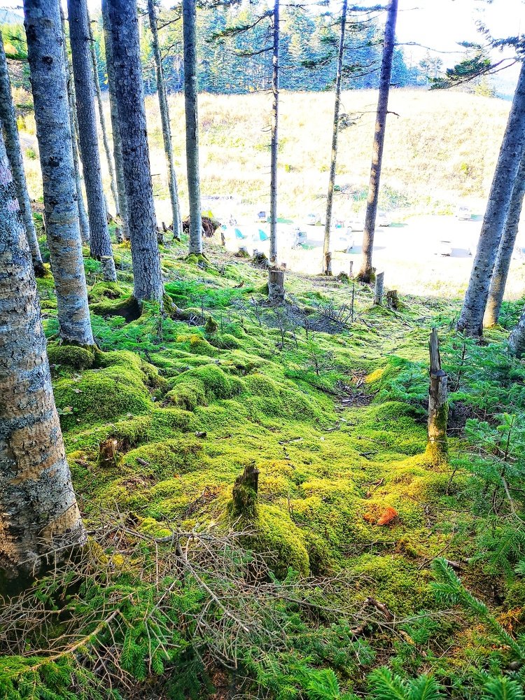 Photograph by Виолетта Беккер