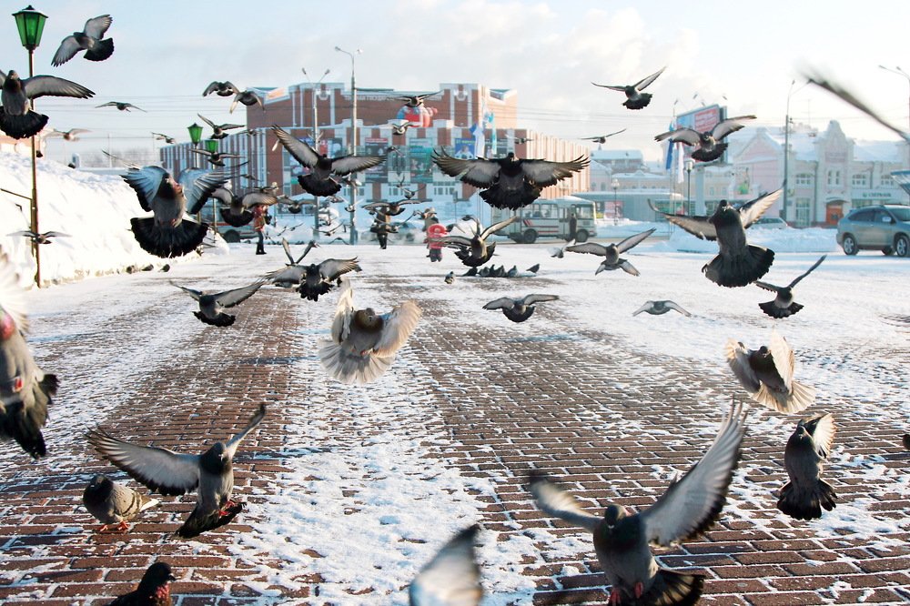 С добрым утром томск