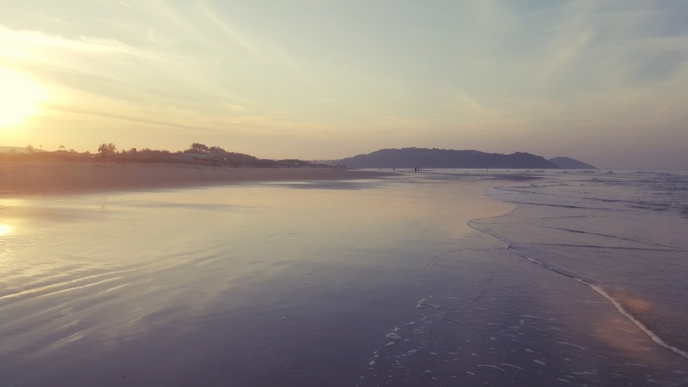 Photo #5115042