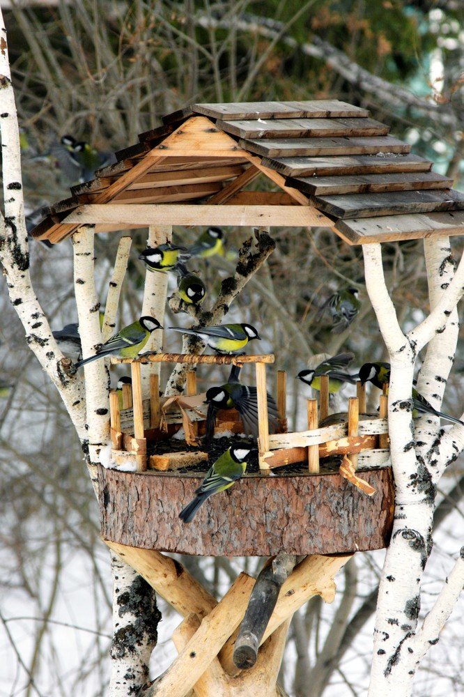 Кафе "Синичка"