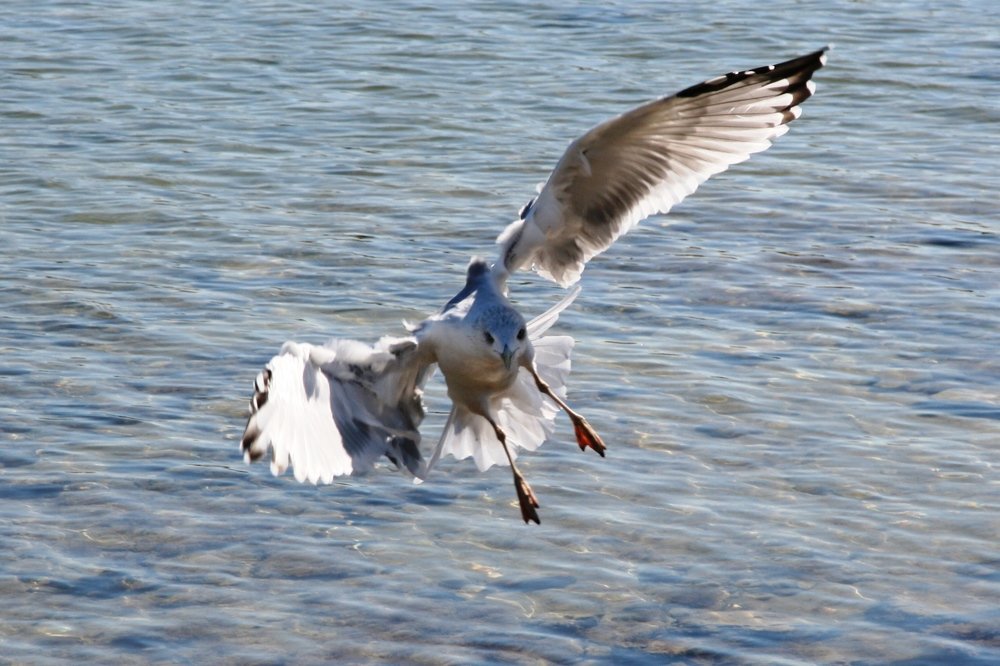 Photograph by Светлана Олина