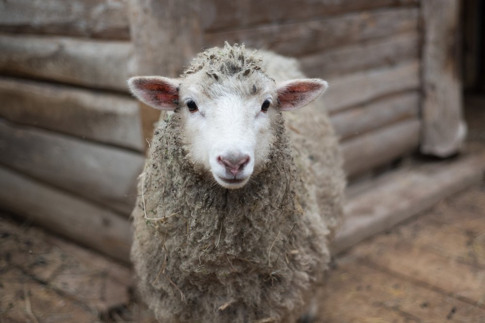 Photograph by Александр