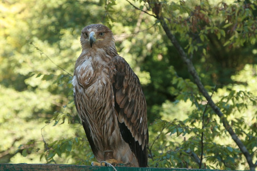 Photograph by Светлана Олина