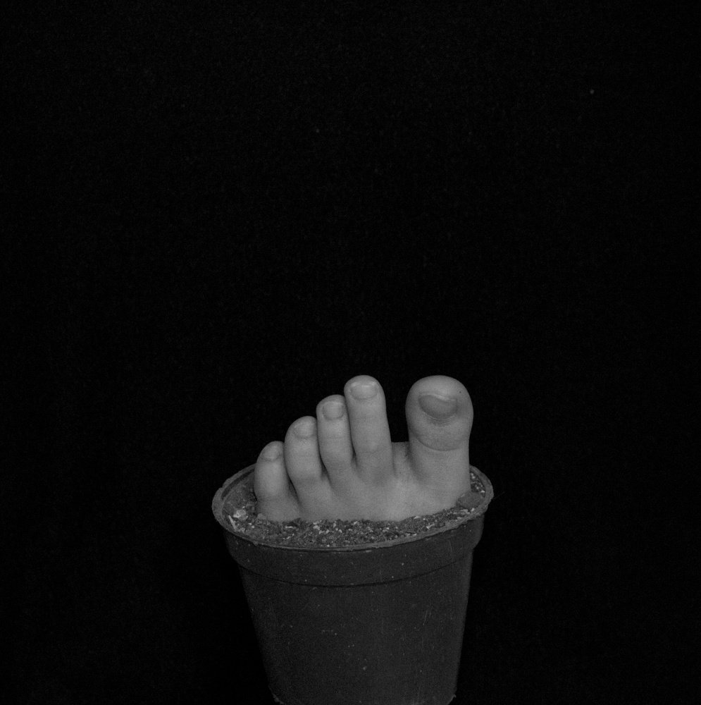 Photograph by Ghazal Abbasi