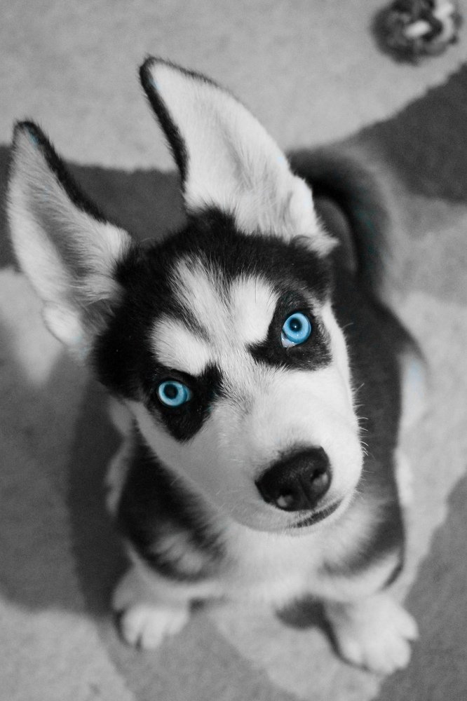 Photograph by Ghazal Abbasi