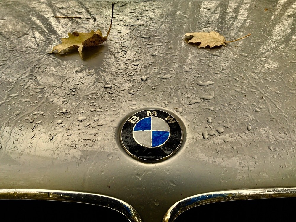 Photograph by Елена Ким