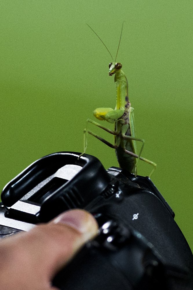 Photograph by Валерий Крачунов