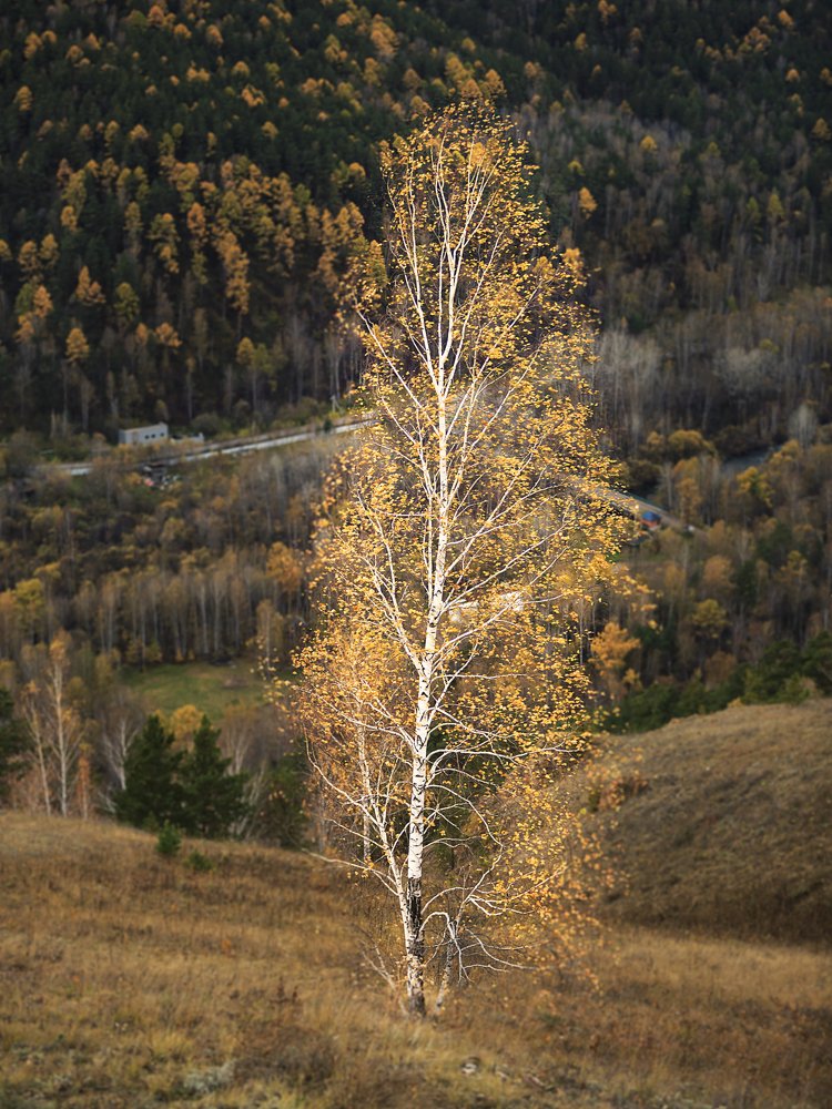 Photograph by Емельянов Саша