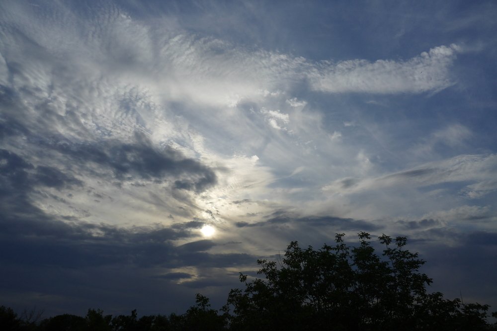 Photo #5115204