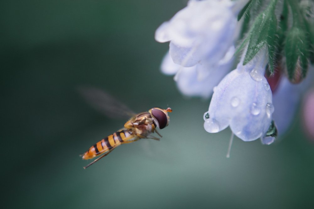 Photograph by Irina Volkova