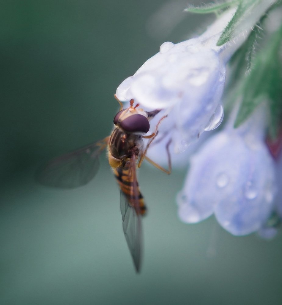 Photograph by Irina Volkova
