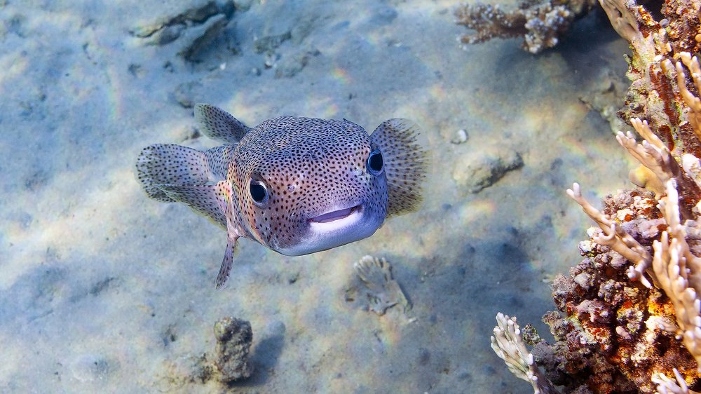 Photograph by Сергей Малеев