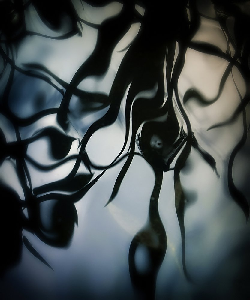 Photograph by Irina Volkova